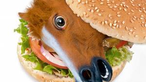 horse meat burger, horse food fraud