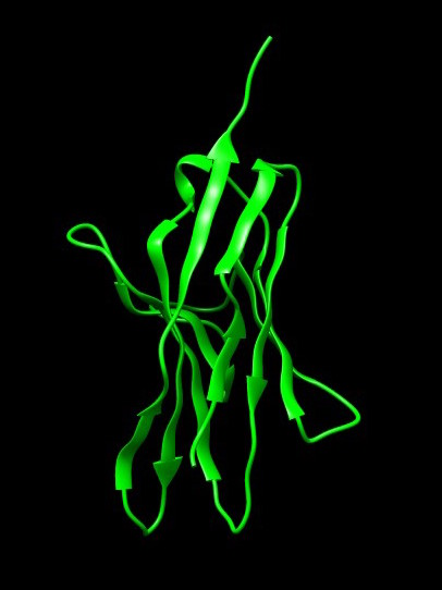 PD-1 Proteini